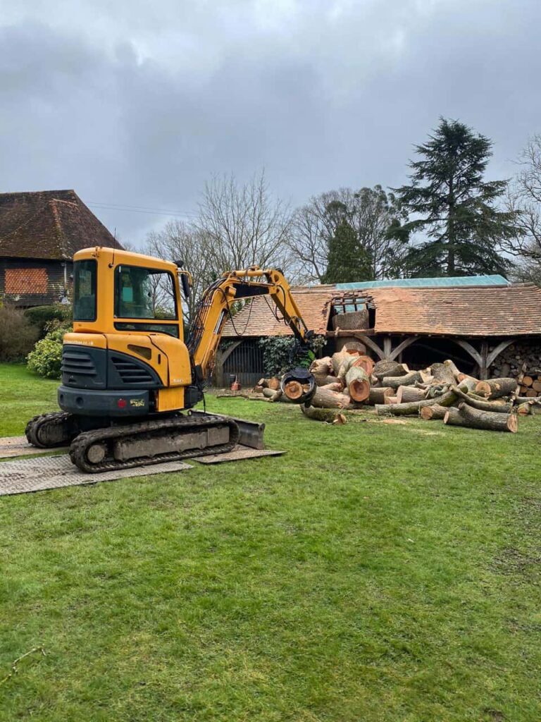 This is a photo of a tree which has grown through the roof of a barn that is being cut down and removed. There is a digger that is removing sections of the tree as well. Calverton Tree Surgeons